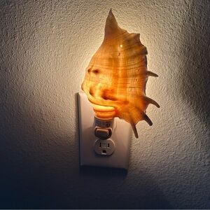 Real Spider Conch Seashell Nightlight. Such a Beautiful glow at night. NWOT